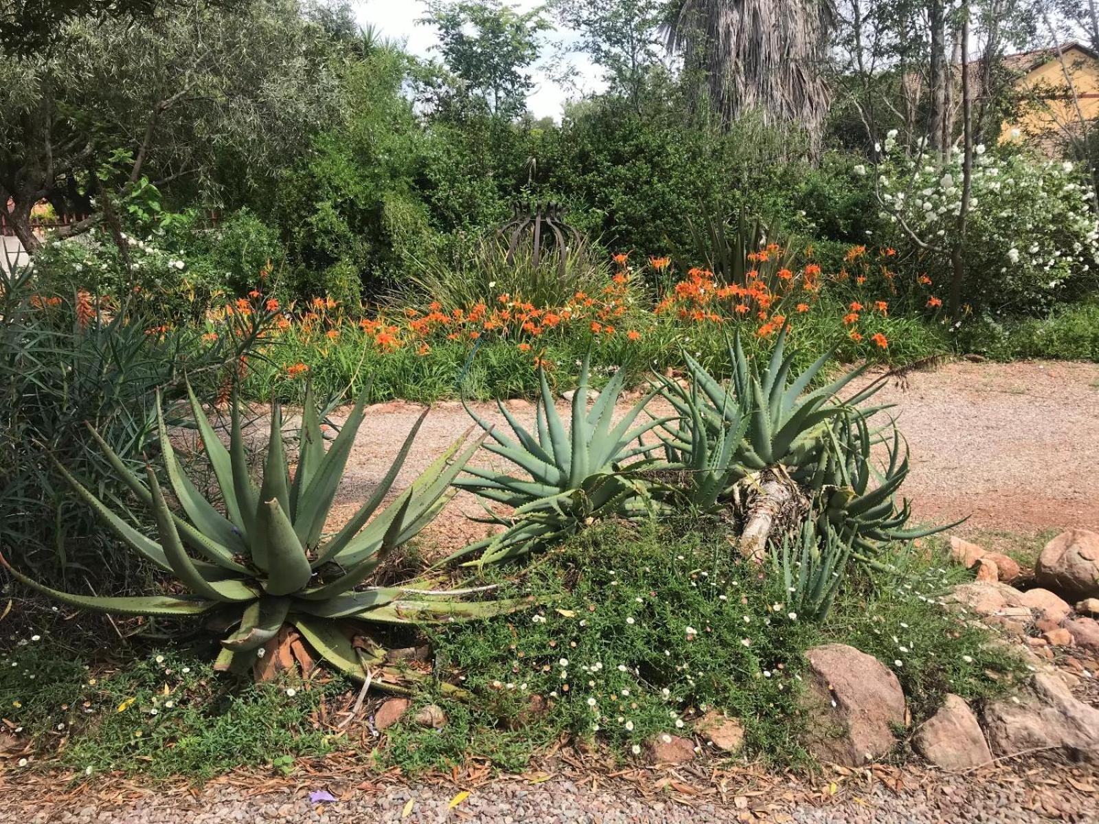 Aloe Guesthouse Klerksdorp Dış mekan fotoğraf